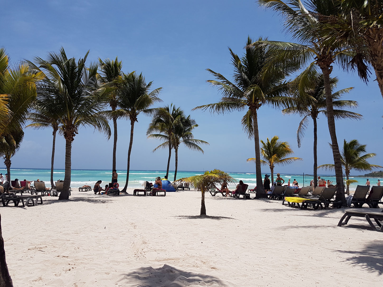 Playa y Palmeras Barceló Maya Beach