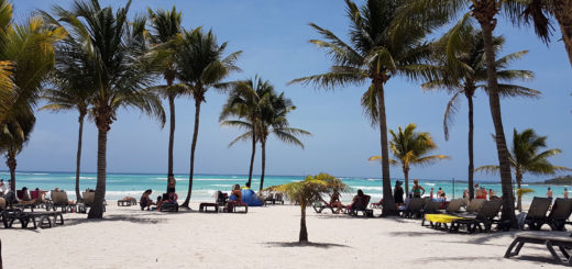 Playa y Palmeras Barceló Maya Beach