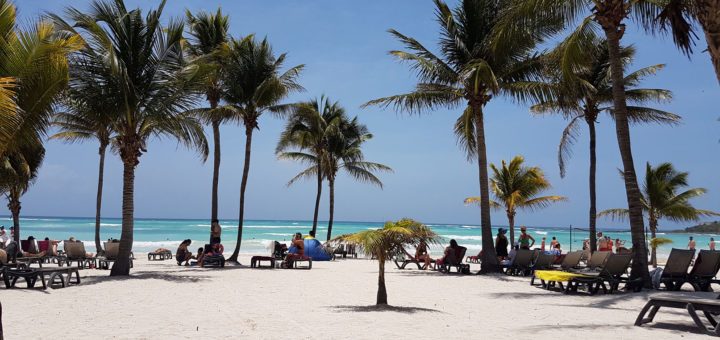 Playa y Palmeras Barceló Maya Beach