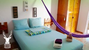 Venado Hostel Cancún centro