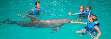 nado con delfines en cancun