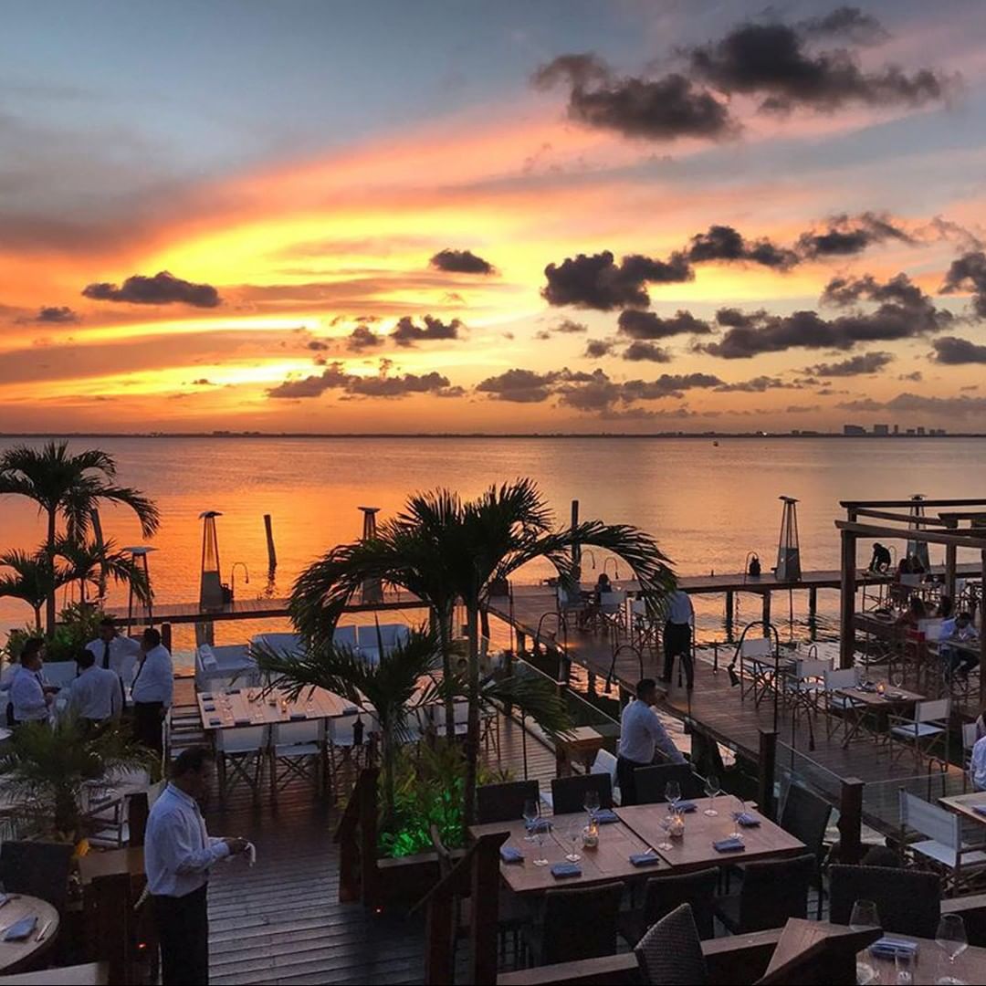 Rosa Negra Cancún Increíble Experiencia Gastronómica