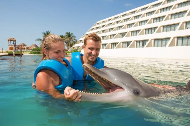 Delphinus Cancún