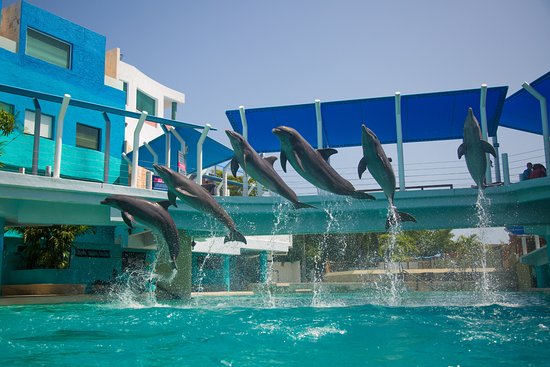 Interactive Aquarium Cancún