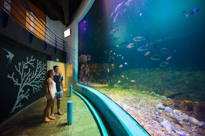 Acuario Interactivo cancun cancun