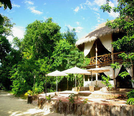 Jolie Jungle cabañas cancun y riviera maya