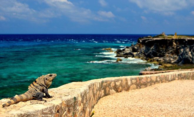 Punta Sur Isla Mujeres 