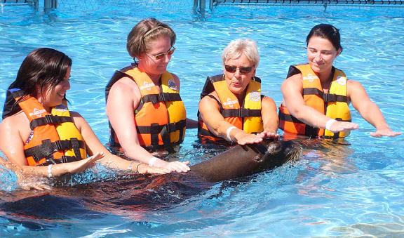 Sea Life Discovery Plus cancun