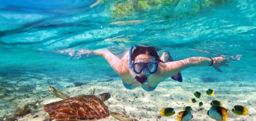 donde hacer snorkel en Isla Mujeres