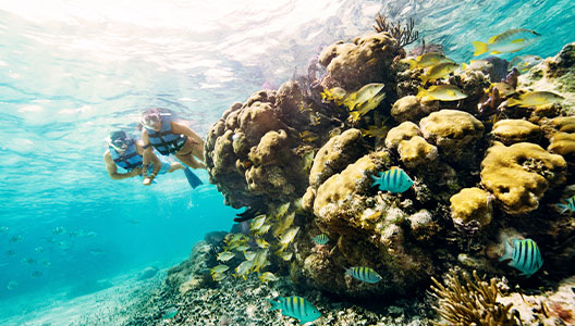 snorkel parque garrafon isla mujeres