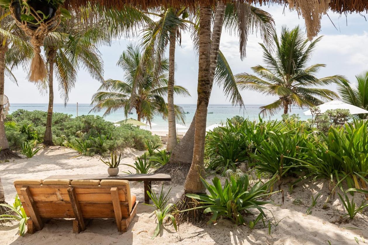 Cinco Tulum - hoteles con mejores playas cancun y riviera maya