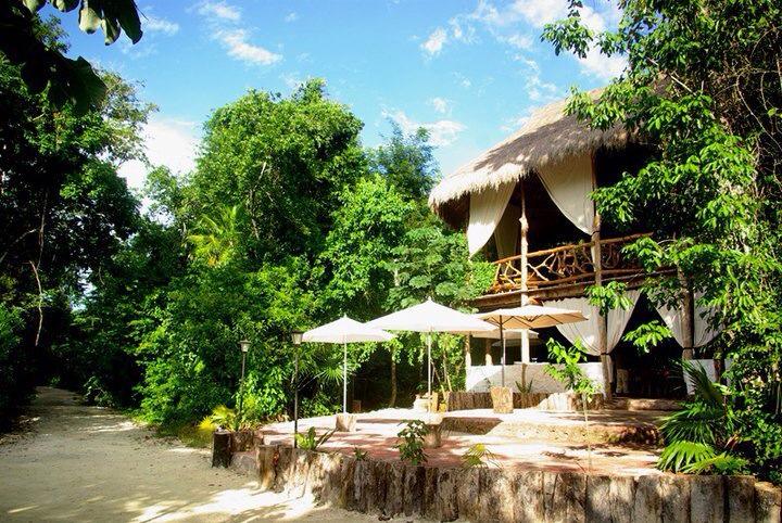 Jolie Jungle Eco Hotel