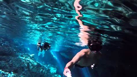 cenotes en playa del carmen