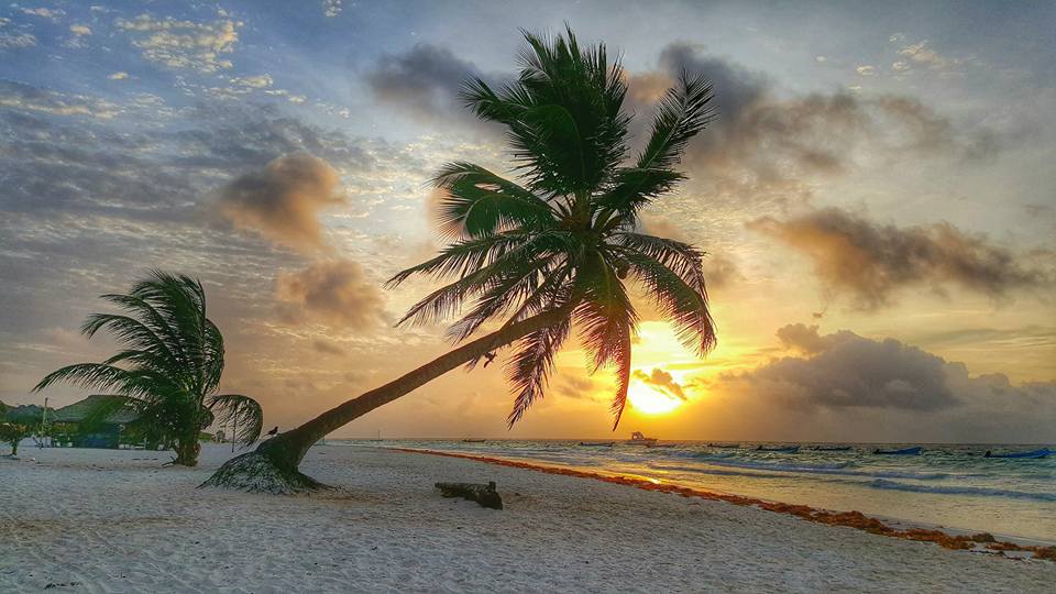 Playa Paraíso playas de tulum