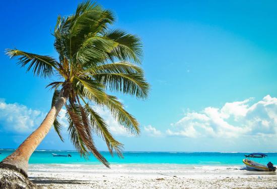 Visitar Playa Paraíso que hacer y ver en tulum
