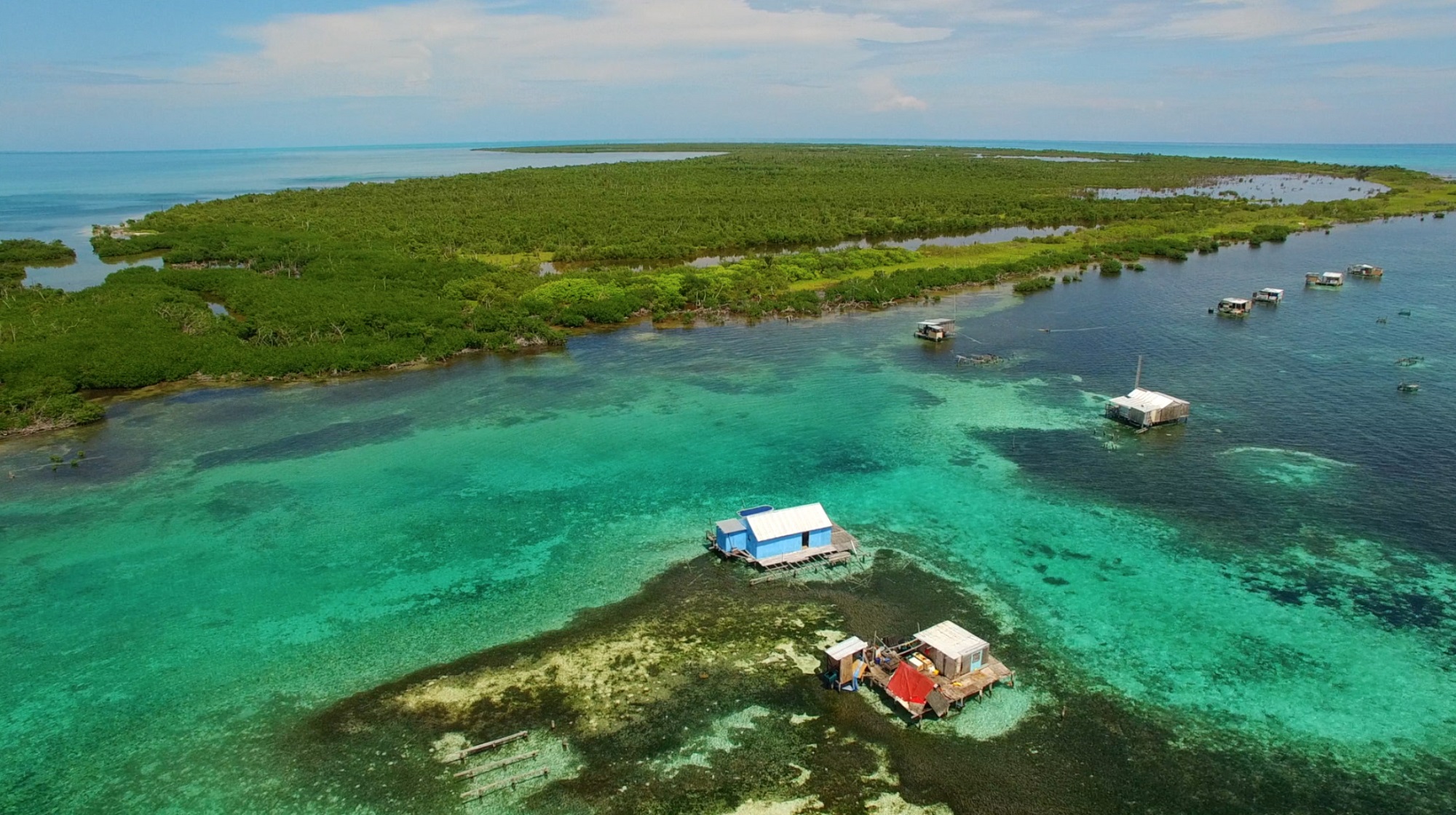 banco chinchorro mahahual