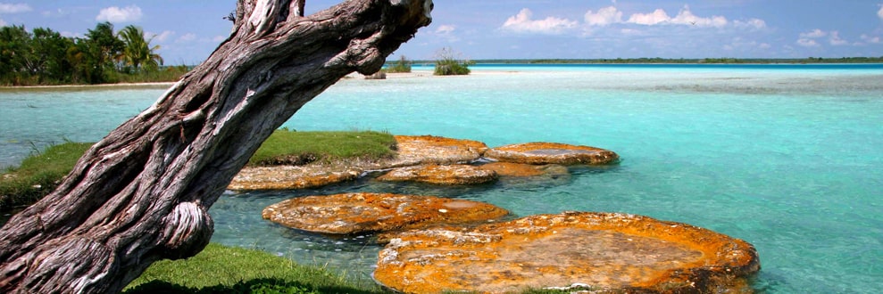 estromatolitos que conocer en bacalar