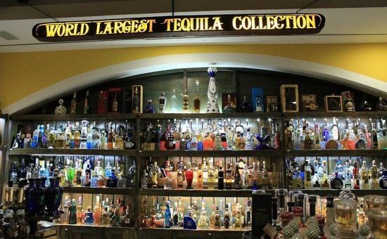 Museo Sensorial del Tequila