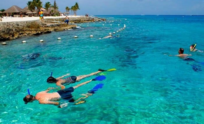 chankanaab cozumel que hacer en cozumel