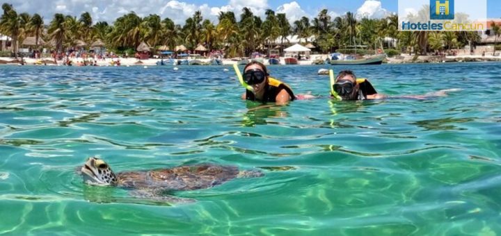 Akumal Swim Challenge: Nada en el paraíso entre tortugas