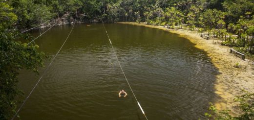 Cenote Las Mojarras: El más impresionante en Puerto Morelos