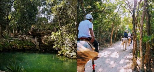 Cenote Tula: Acción y aventura en Cancún a cielo abierto
