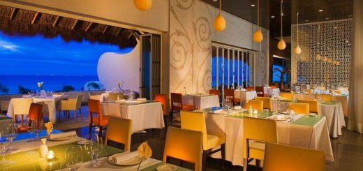 Cocina de Autor Riviera Maya: Alta gastronomía imperdible