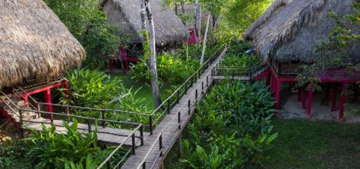 ¿Dónde hacer camping en medio de la selva? Legal, seguro y mágico