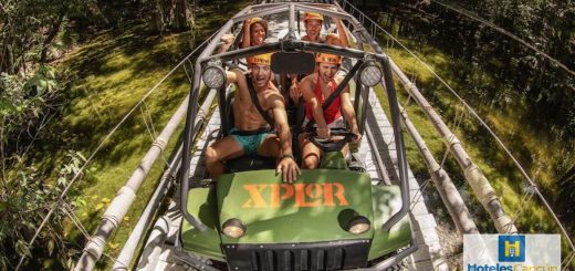 Hoteles Playa del Carmen: Estos se encuentran cerca de Xplor Park