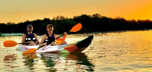 Manglares en Holbox: este paseo en Kayak te va a encantar