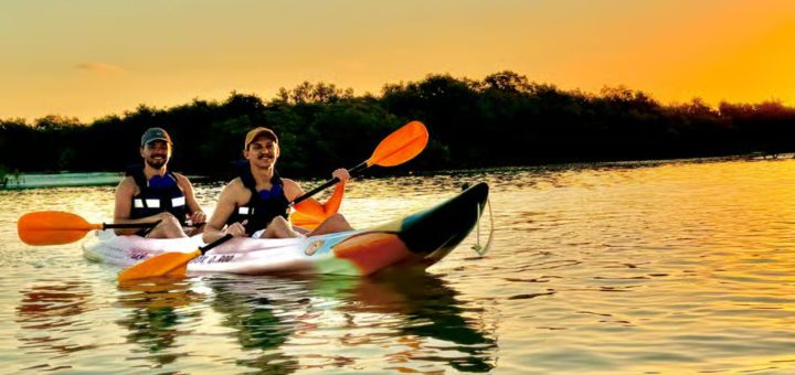 Manglares en Holbox: este paseo en Kayak te va a encantar