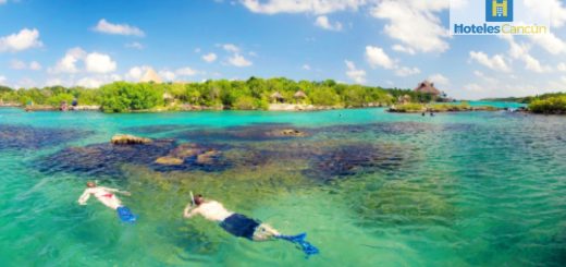 Open Water: ¿Qué son estos eventos deportivos en Quintana Roo?