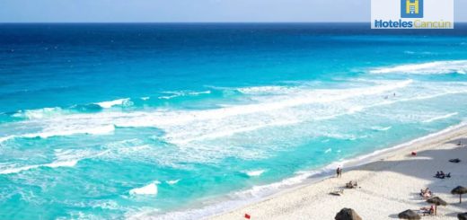 Playa Delfines Cancún: ¿Qué hoteles están cerca?