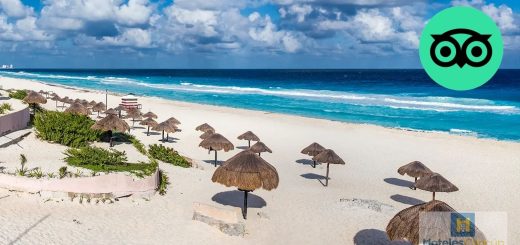 Qué hacer en Quintana Roo en este 2025? Esto dice TripAdvisor