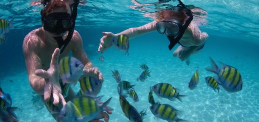 Top 5 lugares para hacer actividades acuáticas en Quintana Roo
