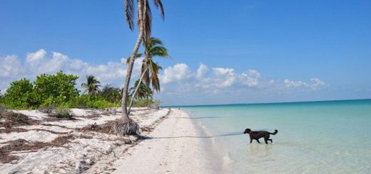 Hoteles en Holbox Quintana Roo: ¿dónde alojarte en esta isla?