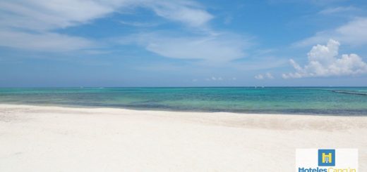 Playa 88 en Playa del Carmen: la joya tranquila del Caribe que necesitas