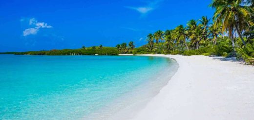 Quintana Roo 2025: En esta isla puedes vacacionar con tortugas