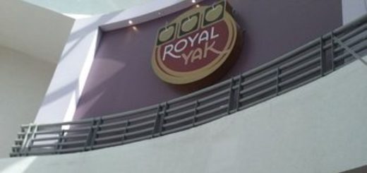 Royal Yak Casino & Sports Book: Apuestas, diversión y tragos