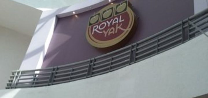 Royal Yak Casino & Sports Book: Apuestas, diversión y tragos