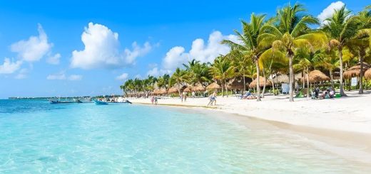Sargazo 2025: Empresarios en Playa del Carmen recuperan confianza