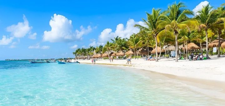 Sargazo 2025: Empresarios en Playa del Carmen recuperan confianza