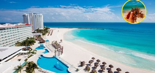 Sargazo 2025: Hoteles se oponen al traslado del alga