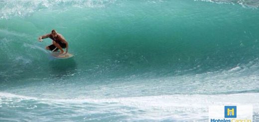 Surfeo en Playa del Carmen: estas playas tienen lo que buscas