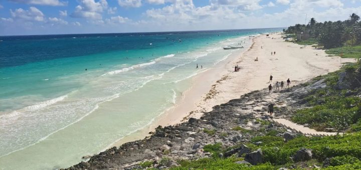 Tulum en crisis por sargazo y cobro en el Parque del Jaguar