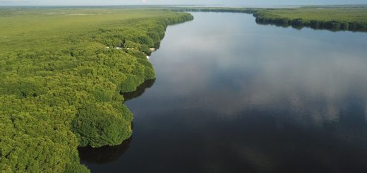 Turismo en Cancún: Proyecto de corredor turístico en la laguna Chacmuchuch-Manatí
