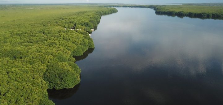 Turismo en Cancún: Proyecto de corredor turístico en la laguna Chacmuchuch-Manatí