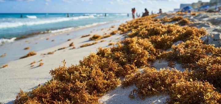 Claudia Sheinbaum habla del turismo en Quintana Roo