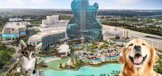 Hard Rock Hotel Cancún: Esto incluye el Programa Unleashed