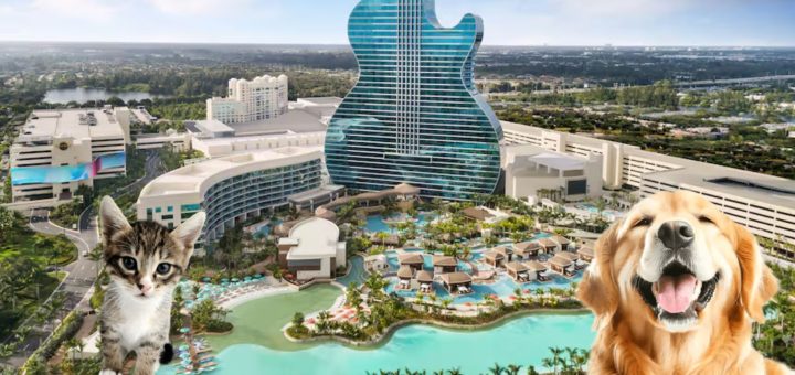 Hard Rock Hotel Cancún: Esto incluye el Programa Unleashed